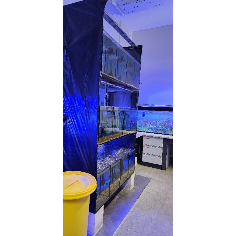 A picture containing wall, majorelle blue, electric blue, indoor Description automatically generated